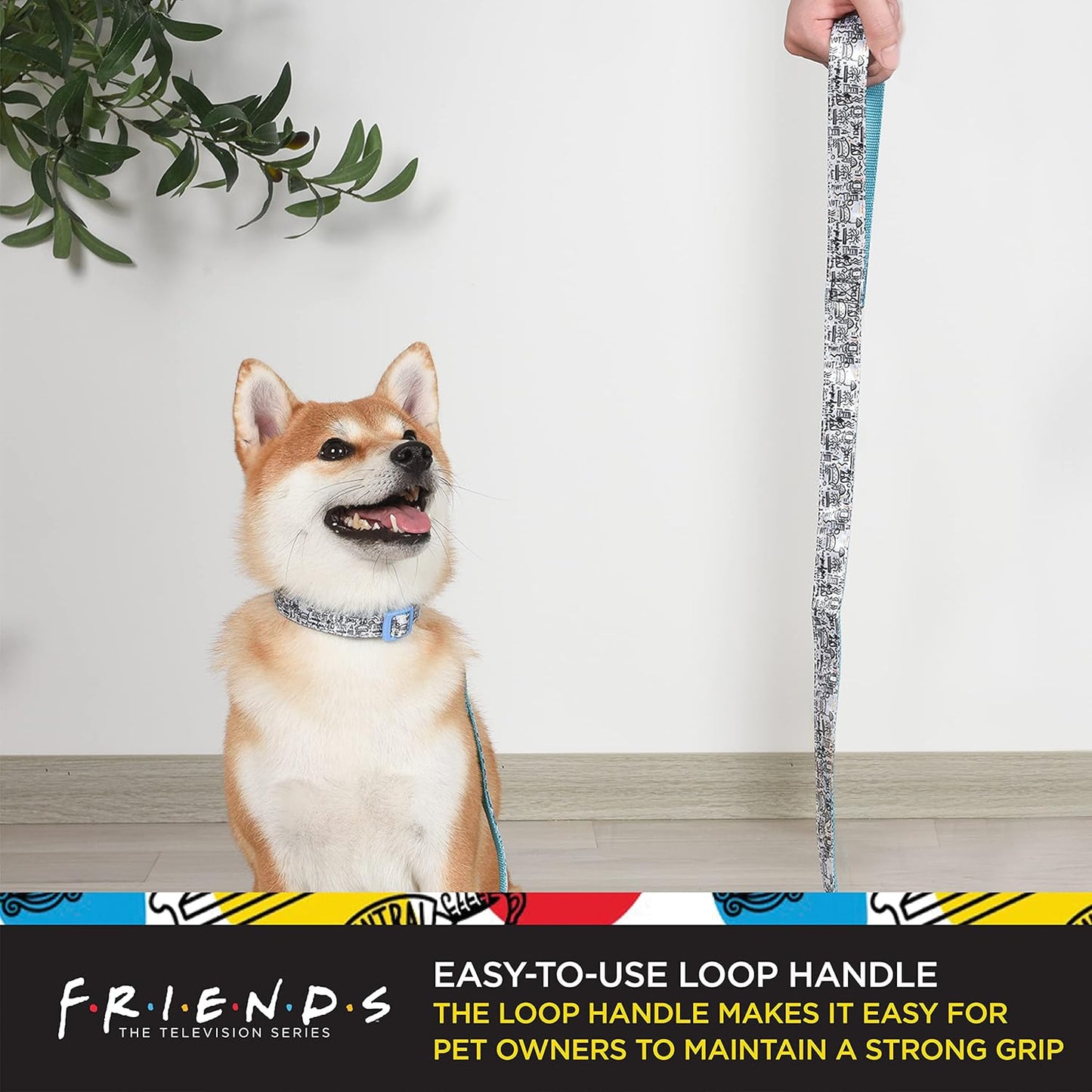 Friends TV Show City Doodle Dog Leash, Attaches to Harness - Friends Dog Lead, Puppy Leash, Leash for Dogs, Dog Leashes, Cute Dog Leash, Blue Dog Leash, Friends Pet Leash for Puppy, Dog Walking Leash