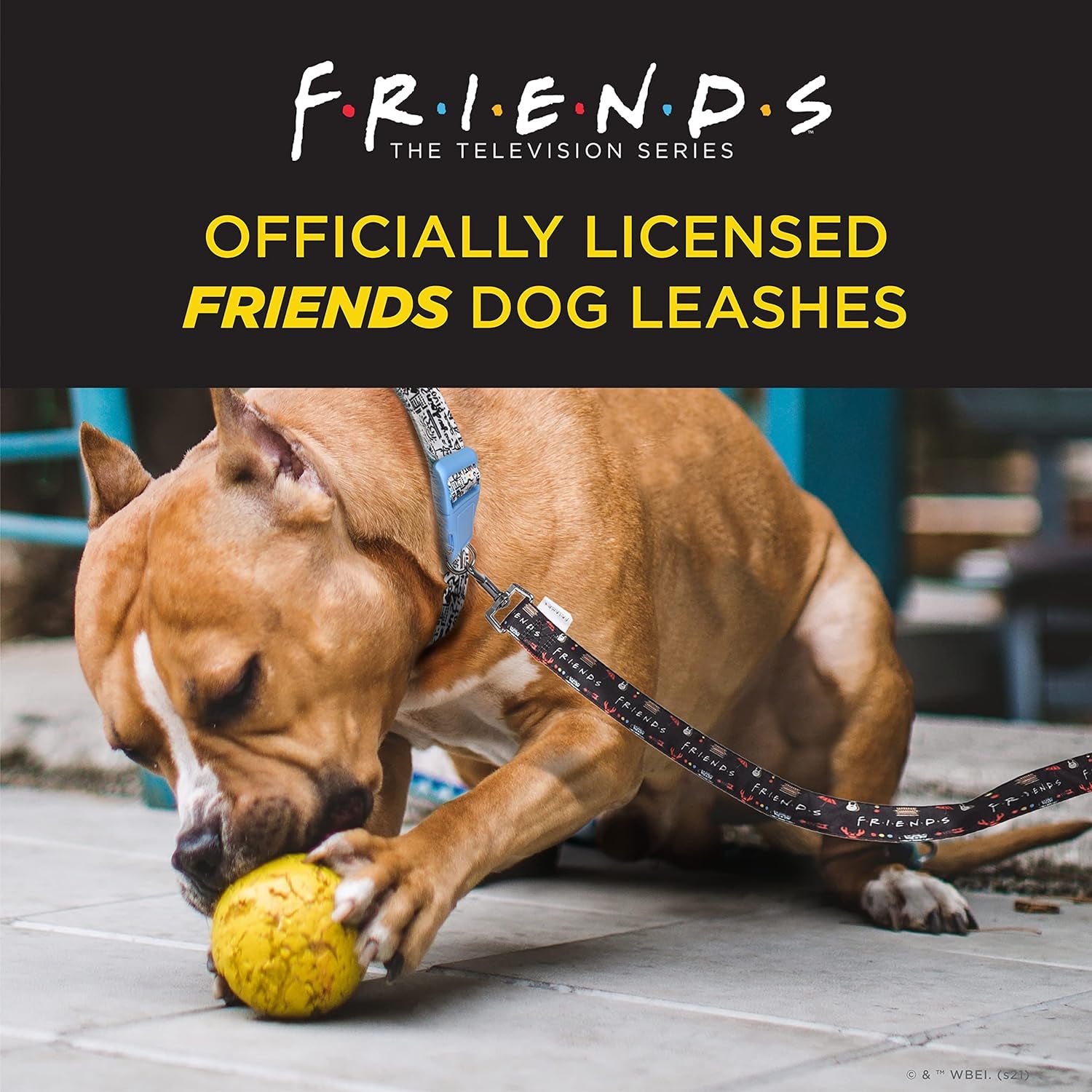 Friends TV Show Iconic Graphics Dog Leash - Friends Dog Lead, Puppy Leash, Leash for Dogs, Dog Leashes, Cute Dog Leash, Black Dog Leash, Red Dog Leash, Friends Pet Leash for Puppy, Dog Walking Leash