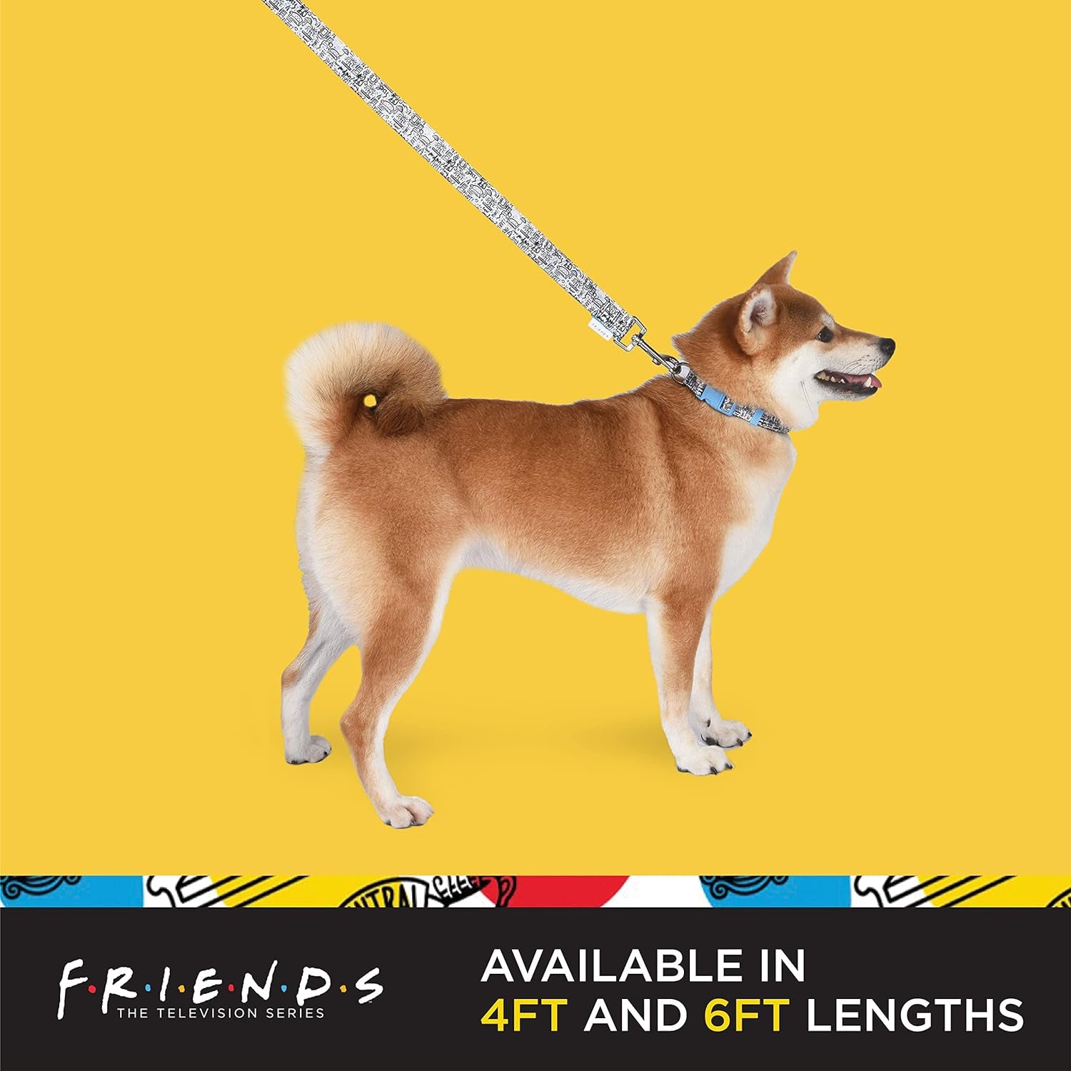 Friends TV Show City Doodle Dog Leash, Attaches to Harness - Friends Dog Lead, Puppy Leash, Leash for Dogs, Dog Leashes, Cute Dog Leash, Blue Dog Leash, Friends Pet Leash for Puppy, Dog Walking Leash