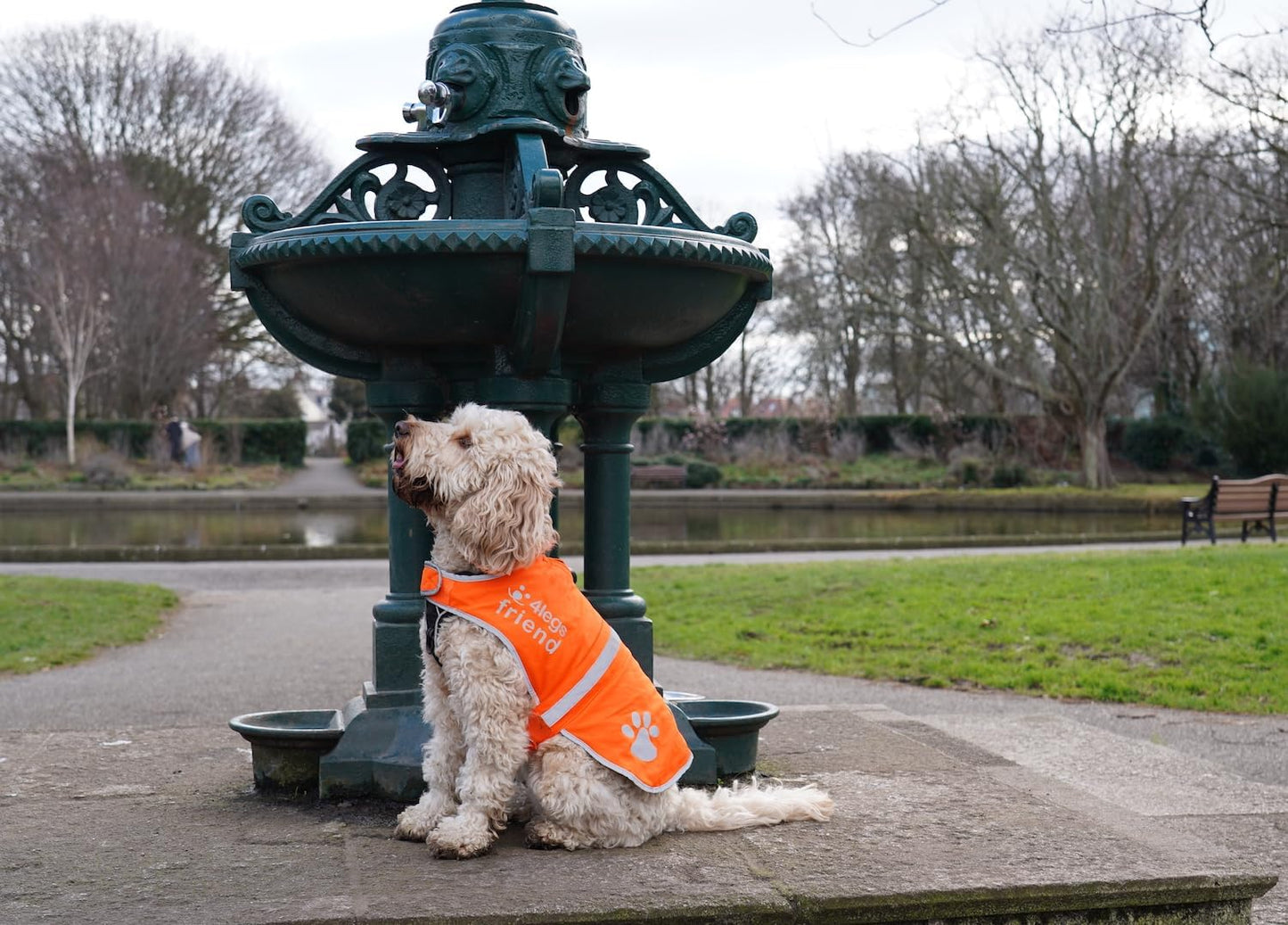 Upgraded Reflective Dog Vest. Hi-Visibility, Fluorescent Blaze Orange Dog Vest Helps Protect Your Best Friend. Safeguard Your PUP from Motorists & Hunting Accidents, on or off Leash by