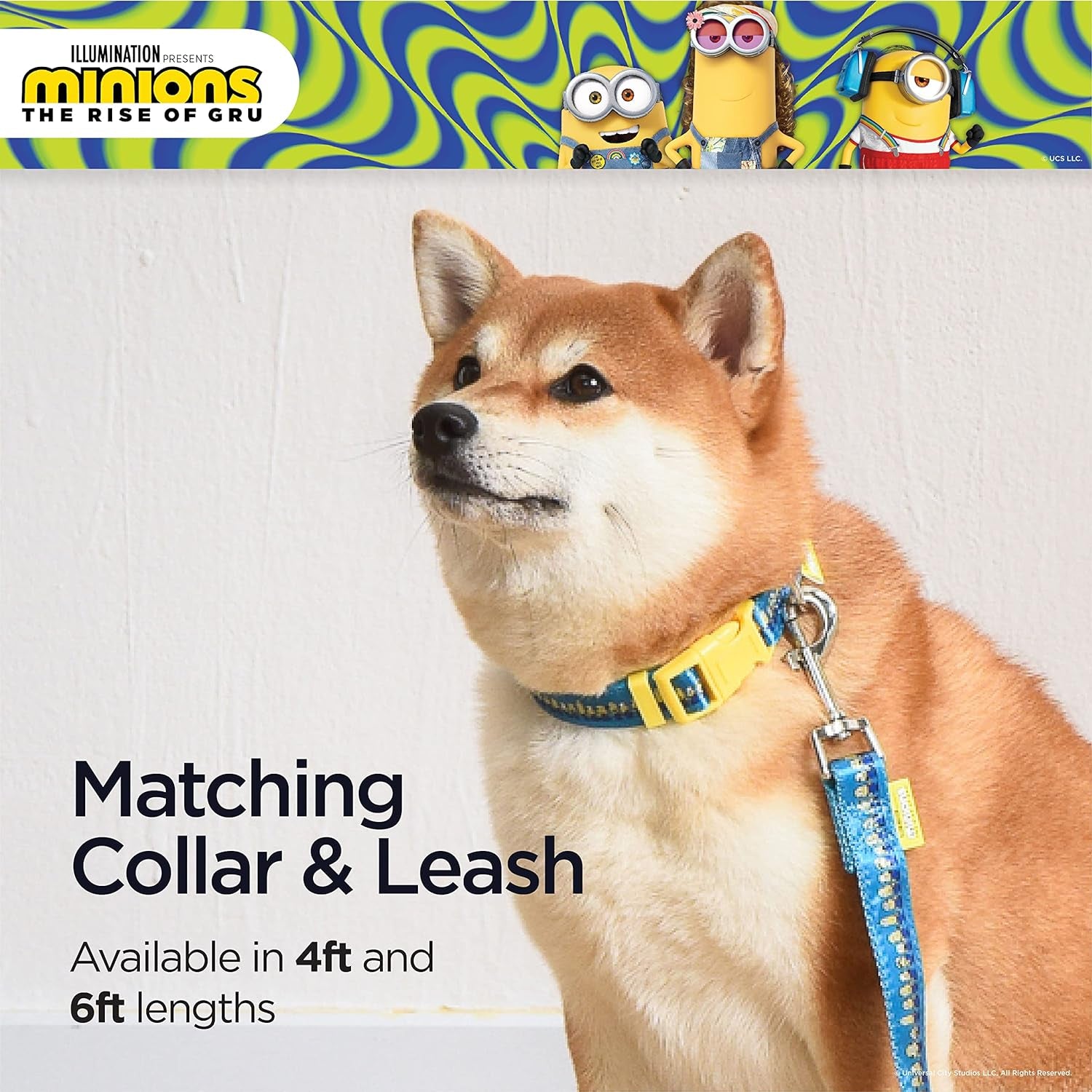 Dog Leash, 4Ft (48In) Blue and Yellow  in a Row | Gifts for  Fans and Their Pets | Officially Licensed Pet Product from Universal Studios